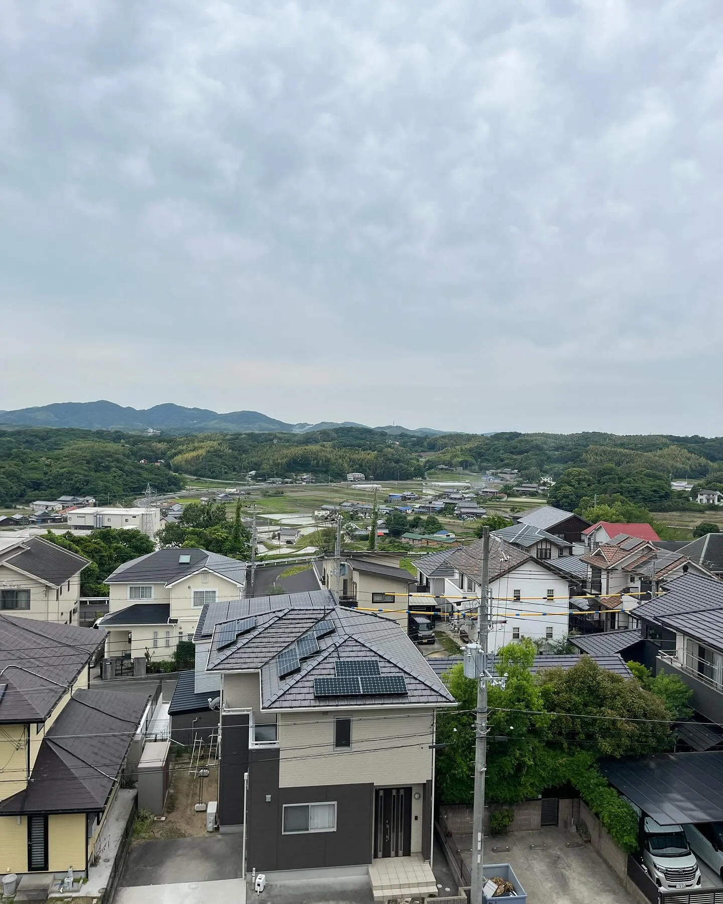 いえとち本舗　淡路店のトンボです🍭🍭🍭