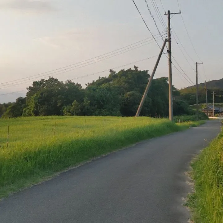 いえとち本舗淡路店　江本です。